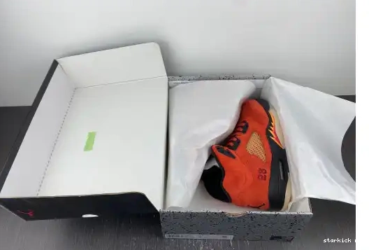 Mars 5 Retro DD9336-800 Jordan DD9336-800 on Dunk 0421